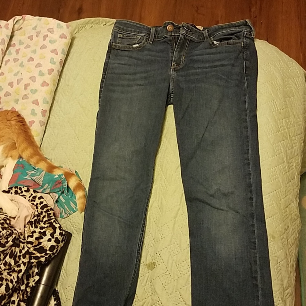 Hollister jeans